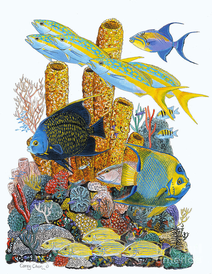 Key Painting - Angel Fish Reef by Carey Chen