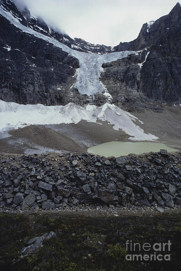 Angel Glacier, Canada Photograph by William H. Mullins