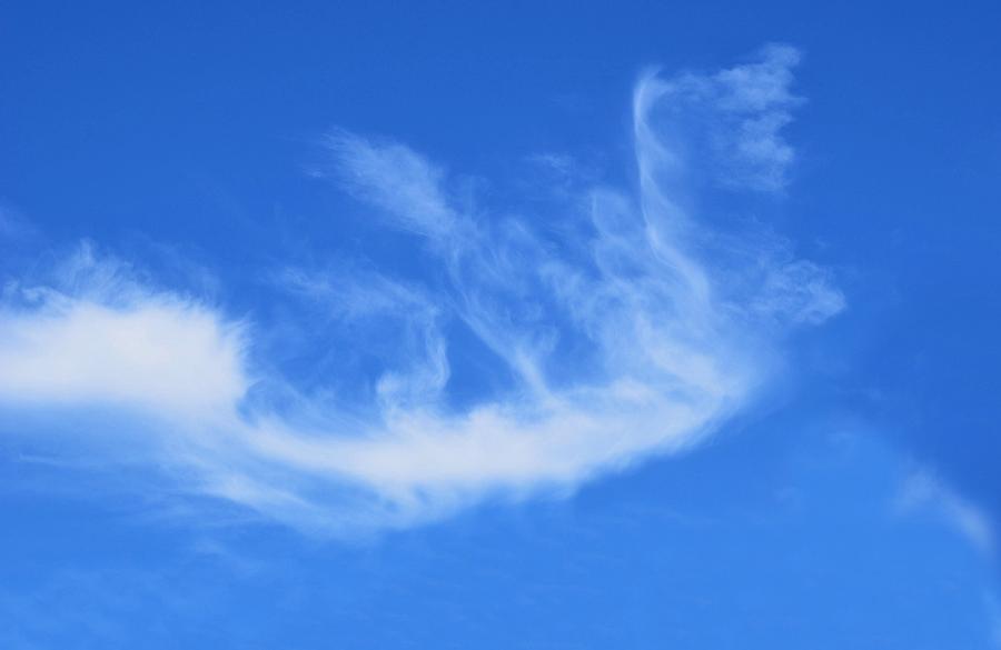 Angel in Flight Cloud Photograph by Marilyn MacCrakin