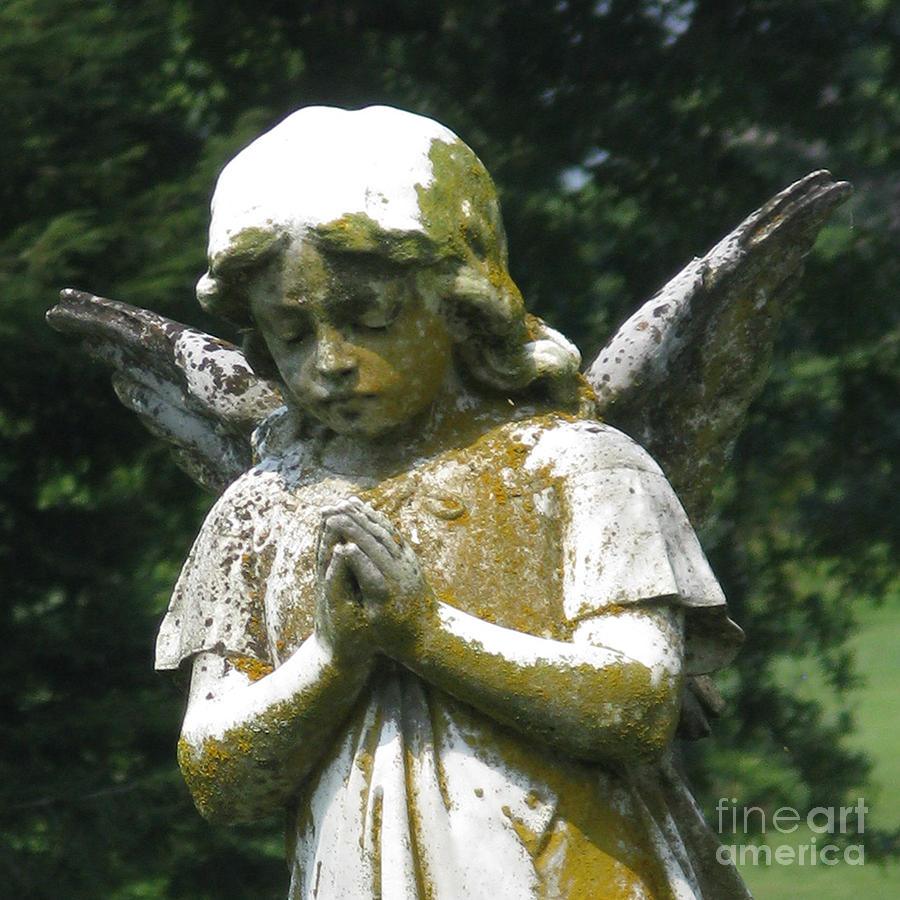 Angel in Prayer Photograph by Patricia Januszkiewicz