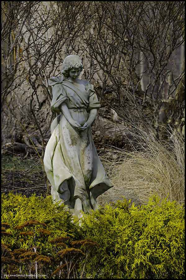 Angel in the Garden Photograph by LeeAnn McLaneGoetz McLaneGoetzStudioLLCcom