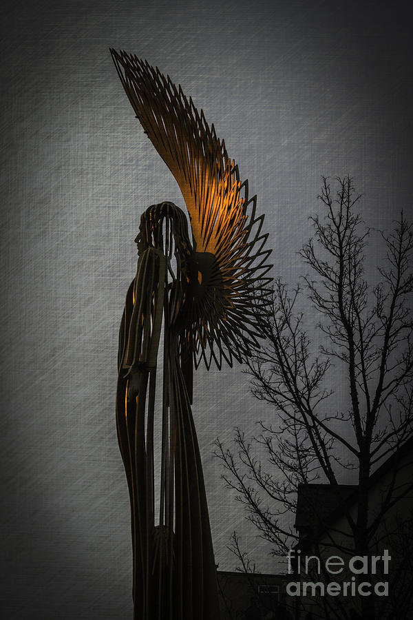 Angel Photograph - Angel In The Morning by Steve Purnell