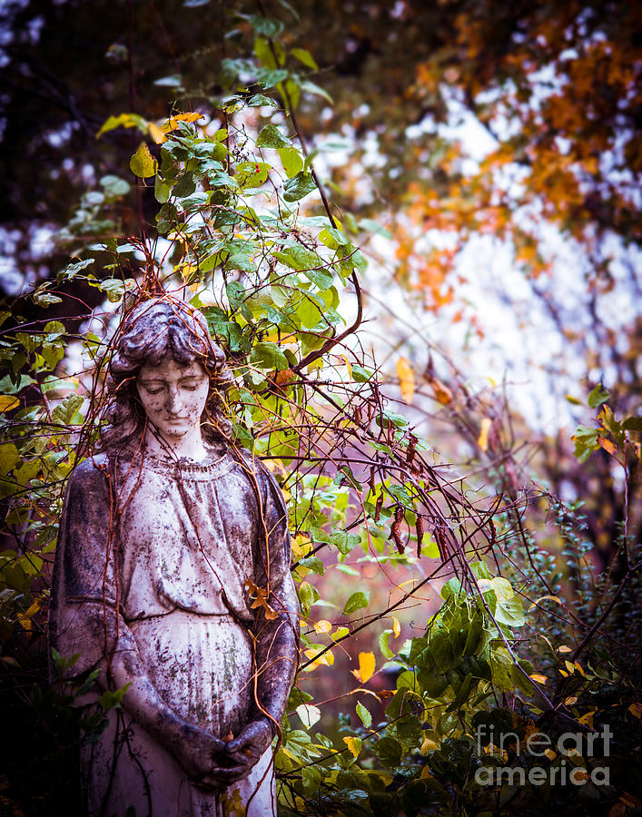 Tree Photograph - Angel in vines by Sonja Quintero