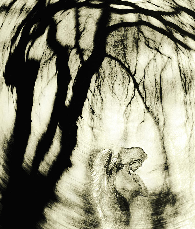 Tree Drawing - Angel by Michaela Stejskalova