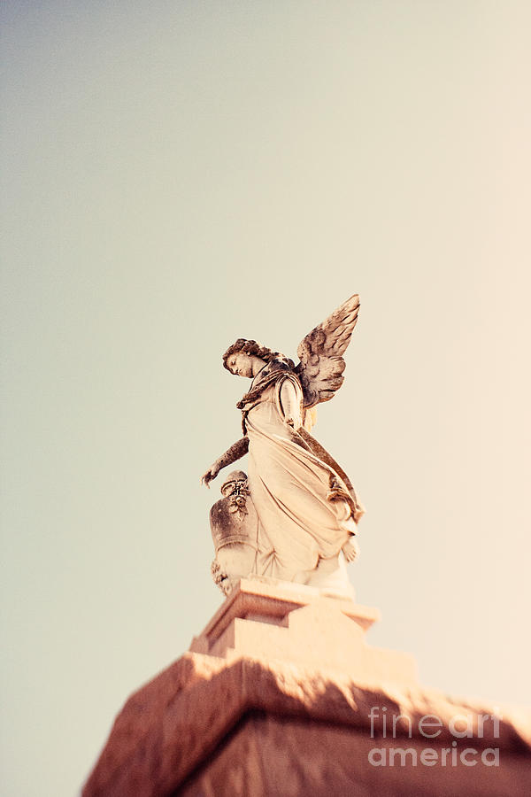 Angel No 3 Photograph by Erin Johnson - Fine Art America