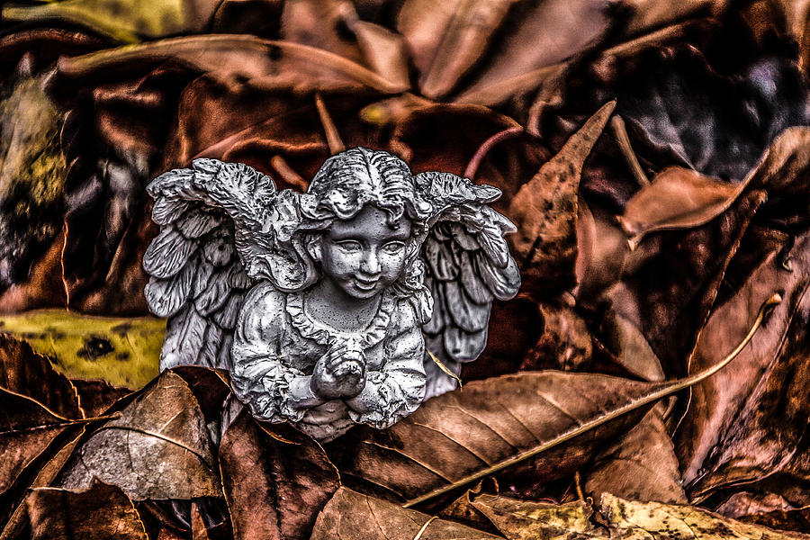 Angel Of Fall Photograph by Ray Congrove