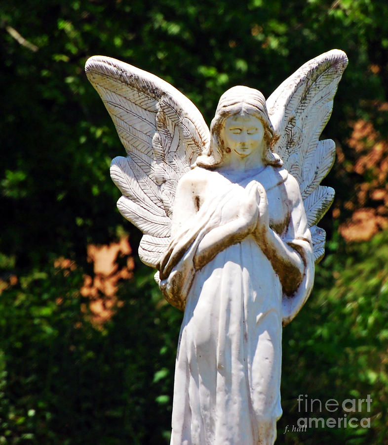 Angel of Prayer Photograph by Francine Hall - Fine Art America