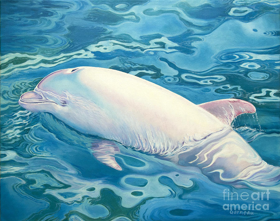 Whale Painting - Angel of Taiji by Catherine Garneau