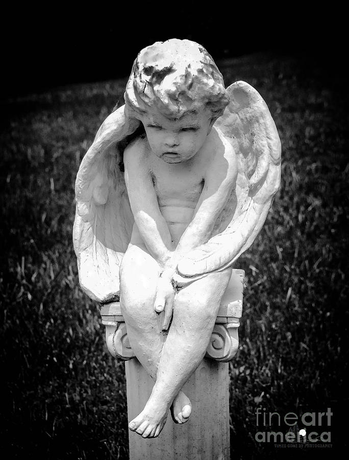 Angel on Pillar Photograph by Grace Grogan