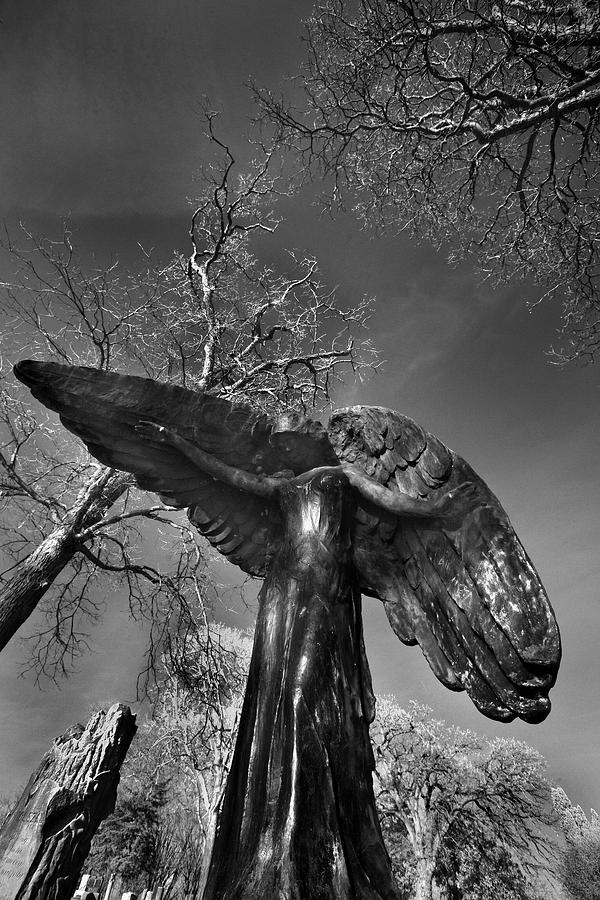 Angel Rising Photograph by Jamieson Brown
