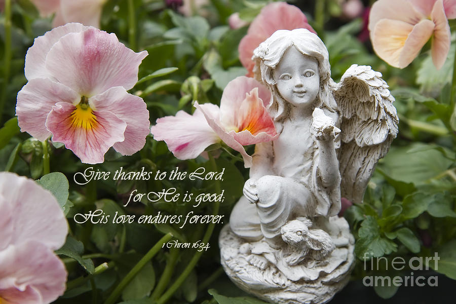 Angel Statue With Scripture Photograph