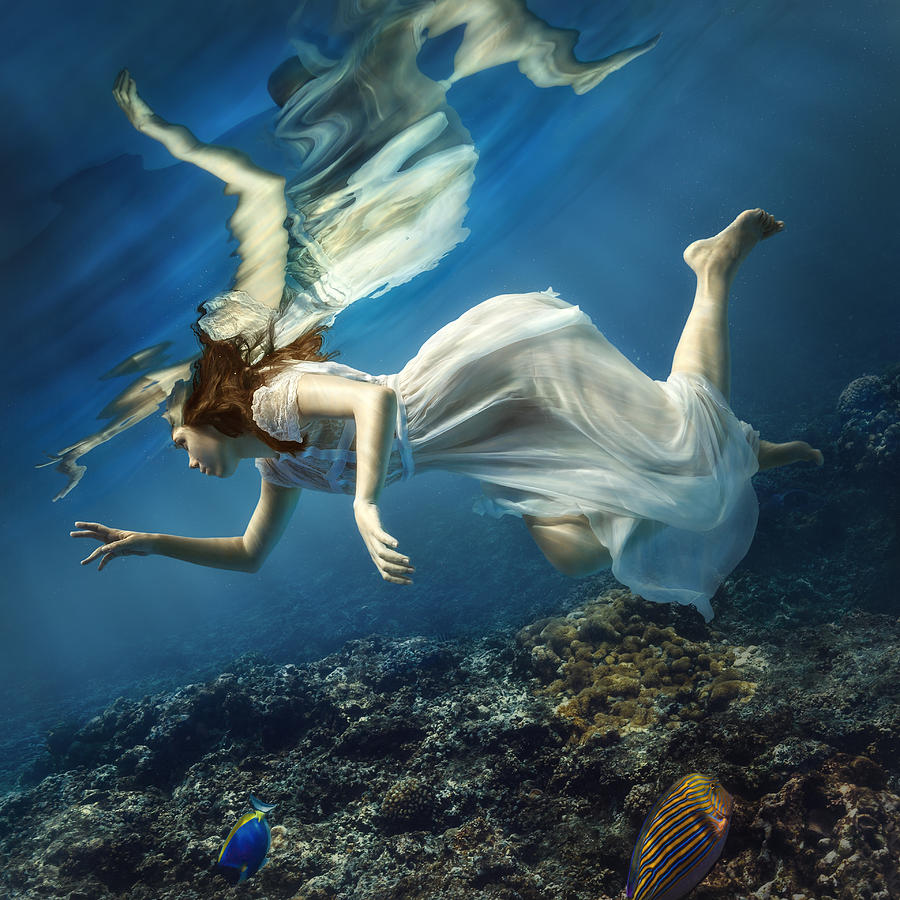 Angel Underwater Photograph By Dmitry Laudin - Fine Art America