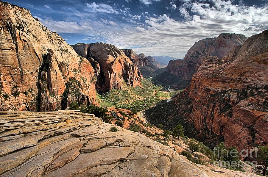 Zion National Park Photograph - Angel View by Adam Jewell