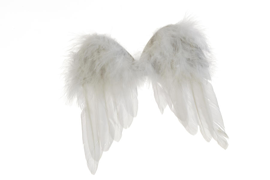 Angel wings Photograph by Creativ Studio Heinemann