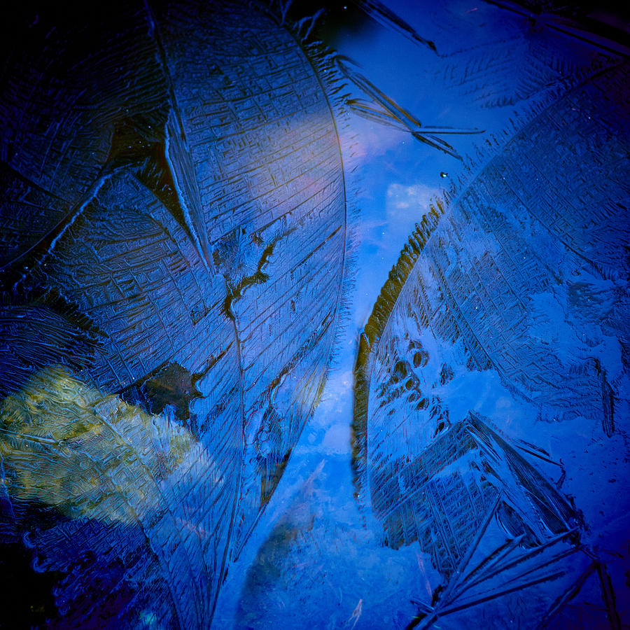 Lehto Photograph - Angel wings by Jouko Lehto