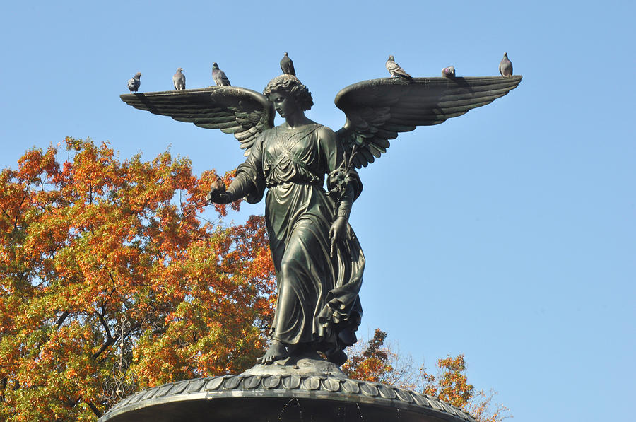 Central Park Angel with pigeons Photograph by Diane Lent