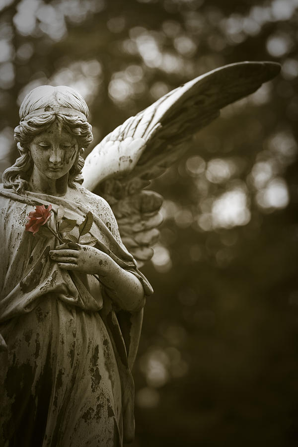 Angel with rose II Photograph by Maria Heyens