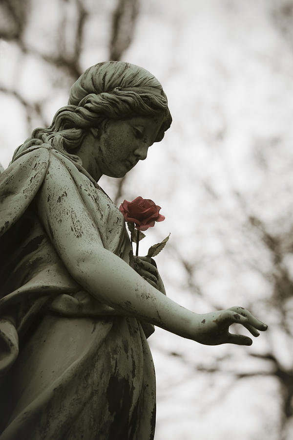 Angel with rose Photograph by Maria Heyens