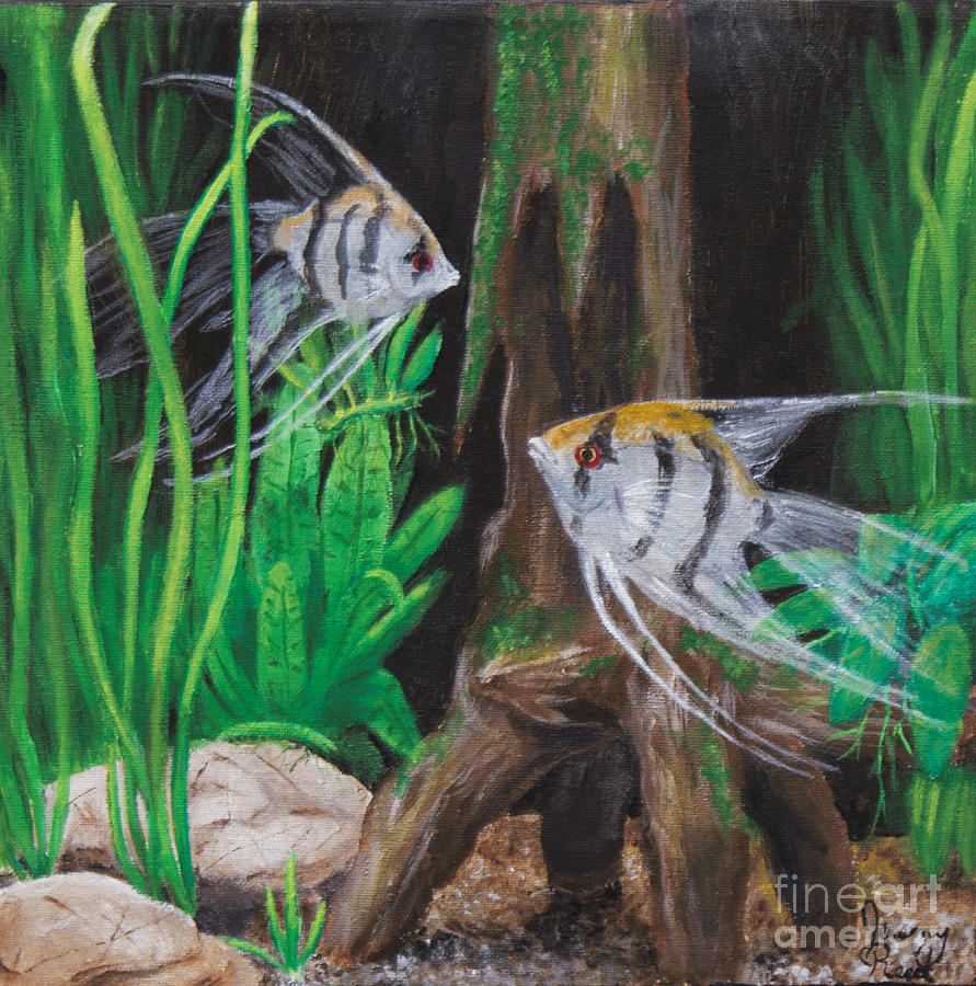 Fish Painting - Angelfish Encounter by Jeremy Reed