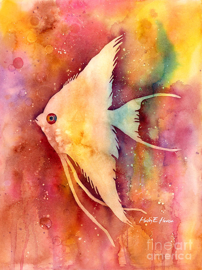 Fish Painting - Angelfish II by Hailey E Herrera