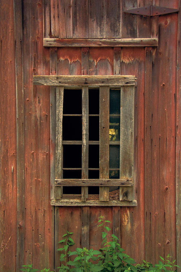 Barn Photograph - Angelica Barn Window by Guy Whiteley