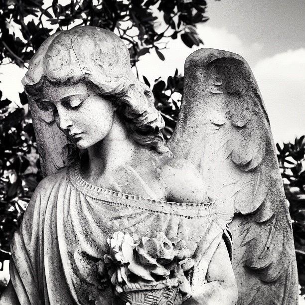 Atlanta Photograph - angels Have No Philosophy But Love by Shannon Ballard