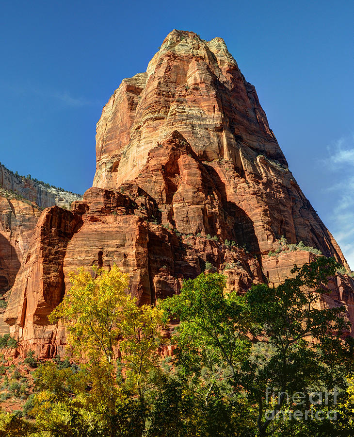 Fall Photograph - Angels Landing in Fall - Zion National Park  by Gary Whitton