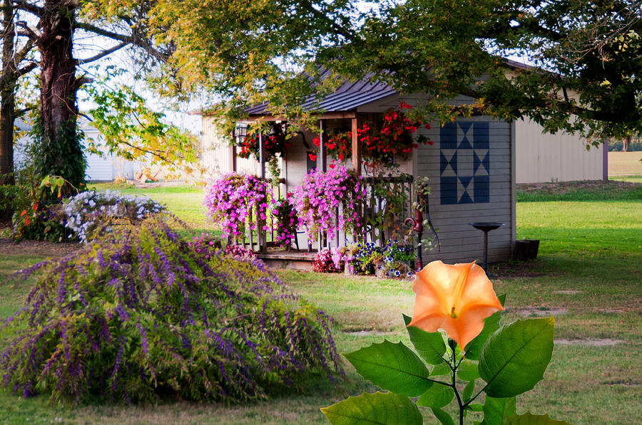 Flowers Still Life Photograph - Angels Trumpet And Doll House by Randall Branham