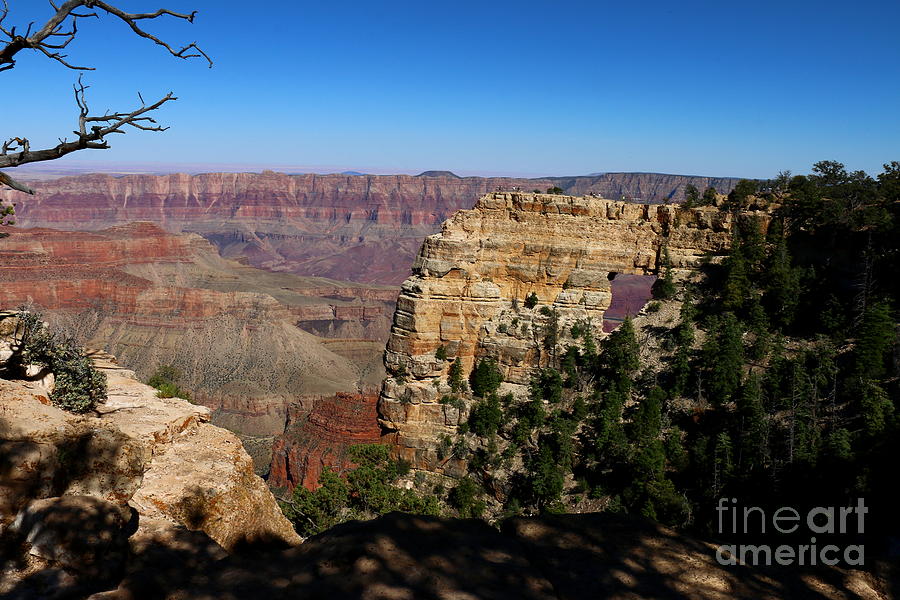 Angels Window Grand Canyon North Rim  Photograph by Christiane Schulze Art And Photography