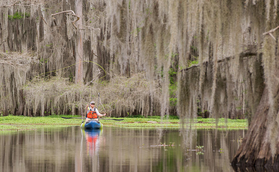Bass Photograph - Angler Fly Fishing From Kayak, Caddo by Dustin Doskocil