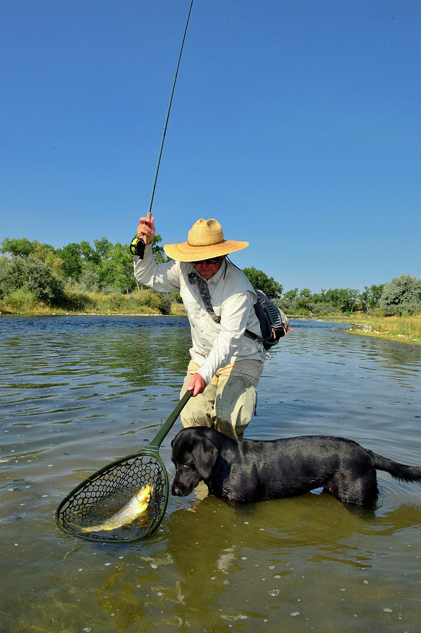 Angler Fly Fishing With Dog by Beck Photography