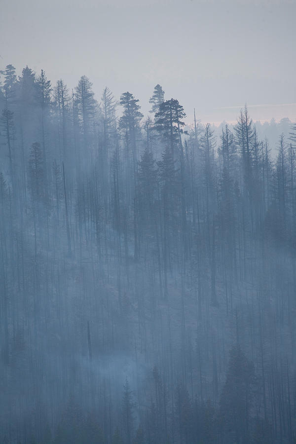 Angora Photograph - Angora Fire In South Lake Tahoe, Ca by Justin Bailie Angora Photograph - Angora Fire In South Lake Tahoe, Ca by Justin Bailie