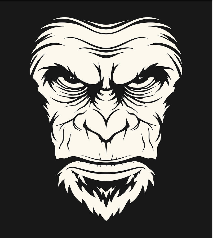 Angry ape head Drawing by DimaChe