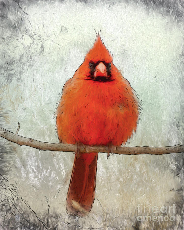 Angry Bird Imitator Photograph by Kerri Farley