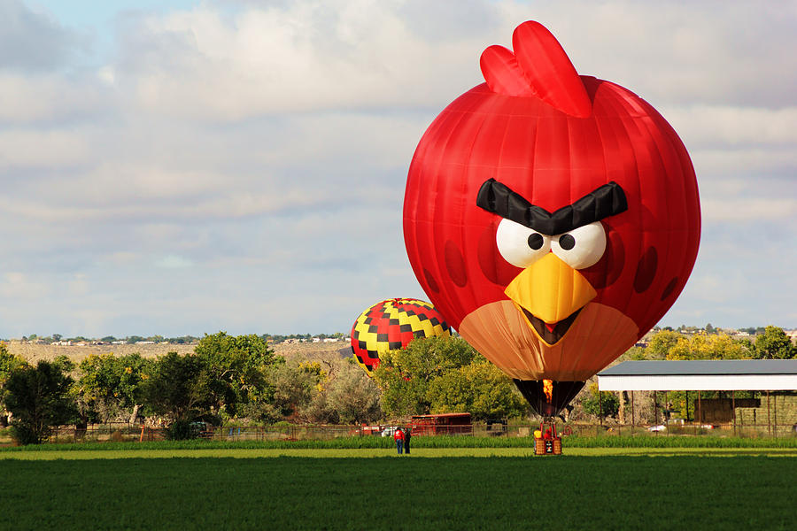 Angry Birds Hot Air Balloon Photograph by Daniel Woodrum