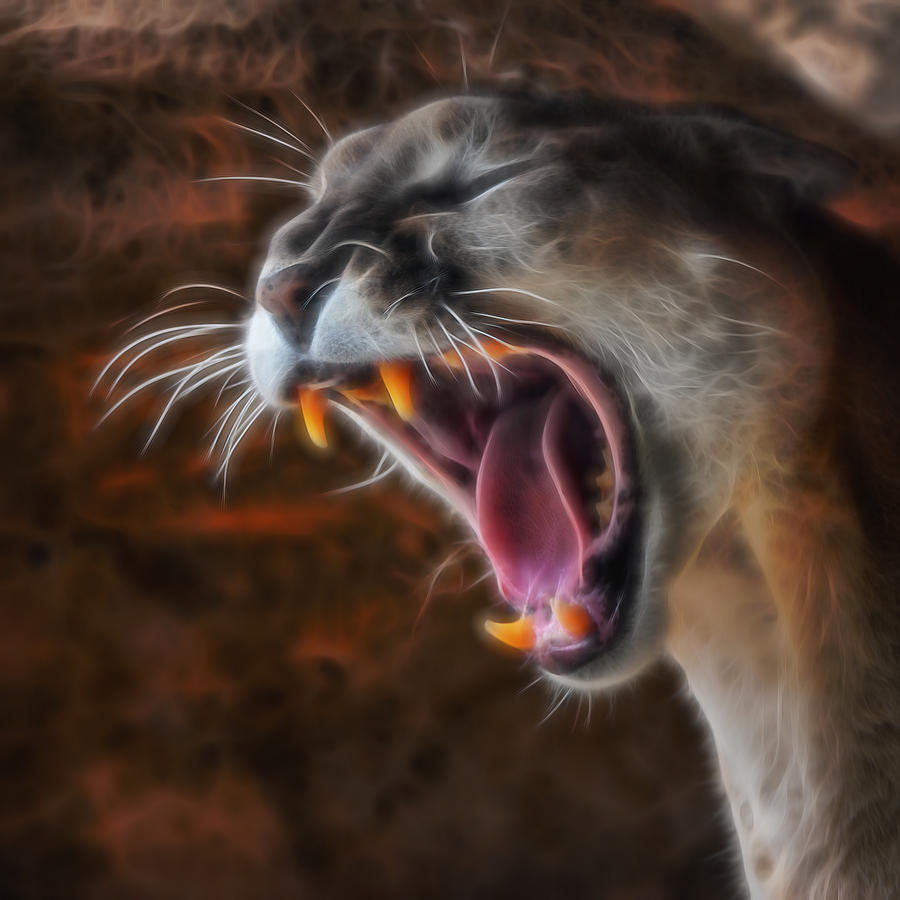Angry Cougar Digital Art by Ernest Echols