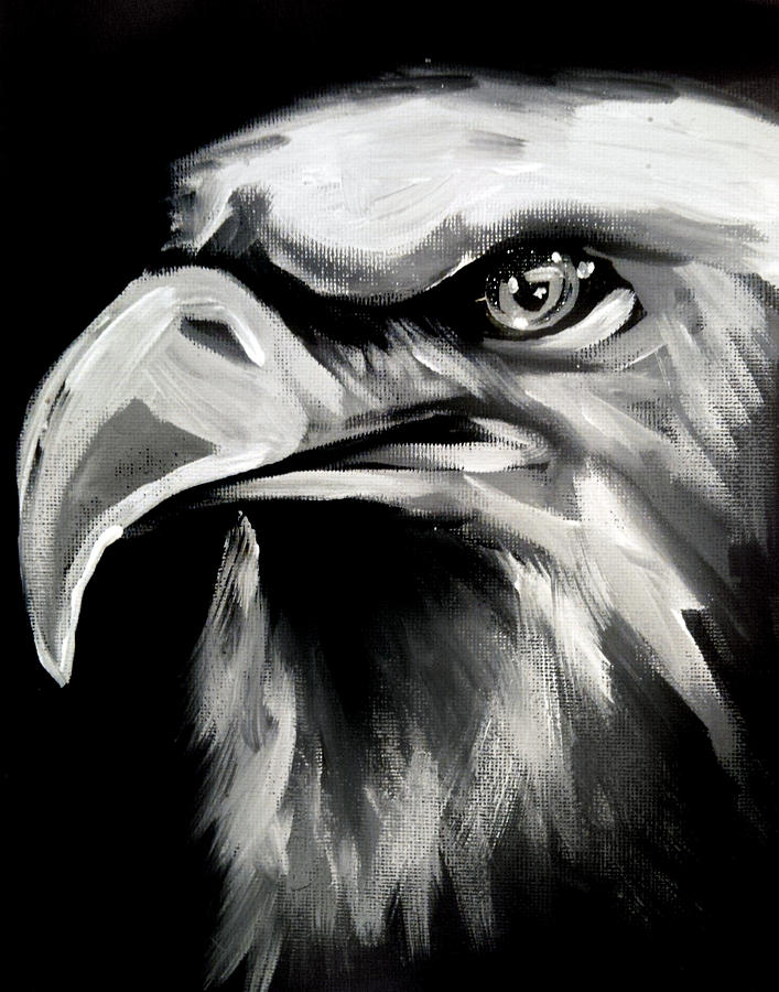 black and white eagle painting