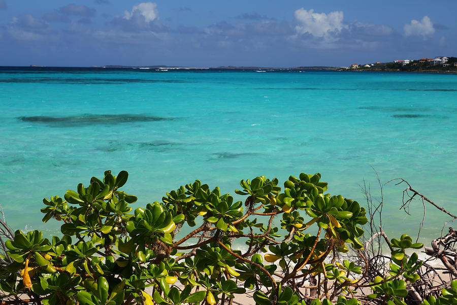 Anguilla Shoal Bay  Blue Water Photograph by Toby McGuire