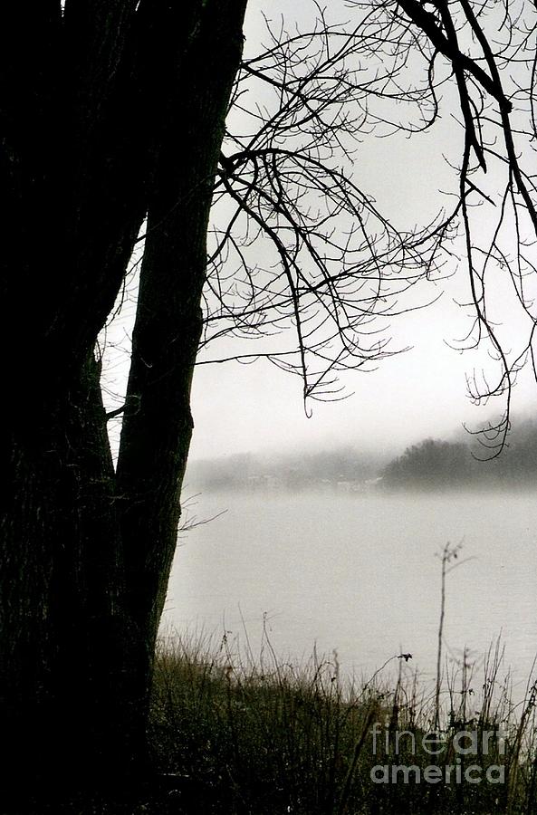 Angular Fog Photograph by Michael Hoard