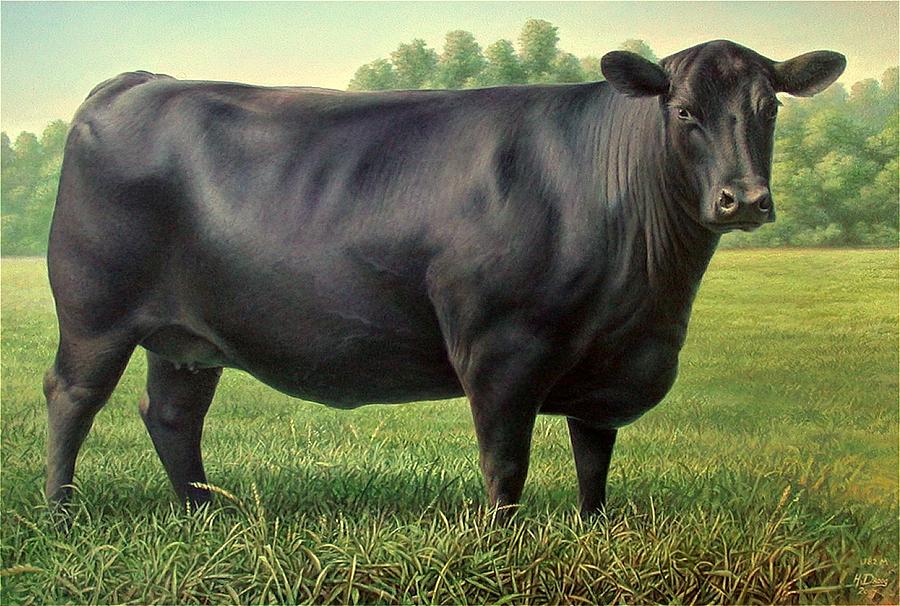 Angus Cow 182m 1 2007 Painting by Hans Droog