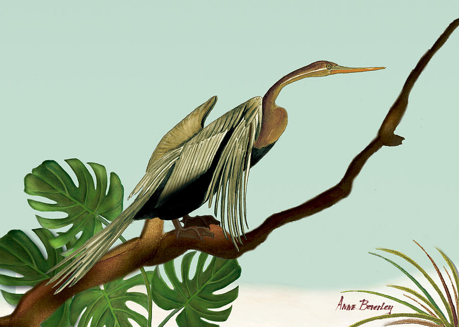 Anhinga Bird Painting - Anhinga Bird by Anne Beverley-Stamps