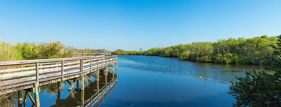 Everglades National Park Photograph - Anhinga Trail Boardwalk, Everglades by Panoramic Images