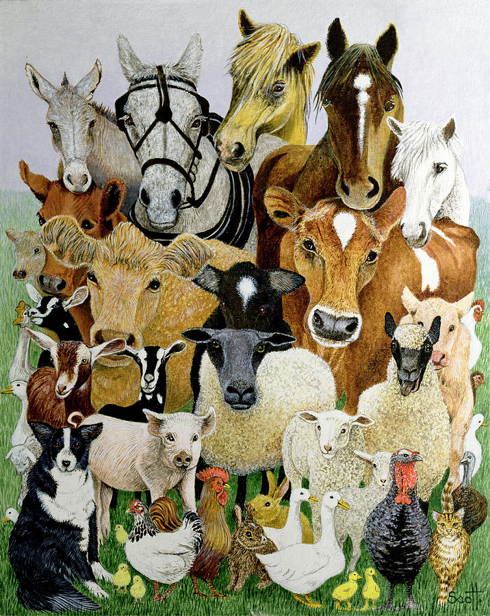 Cow Photograph - Animal Allsorts Oil On Canvas by Pat Scott