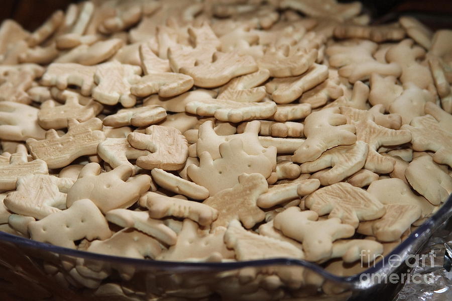 Cracker Photograph - Animal Crackers by Cathy Lindsey