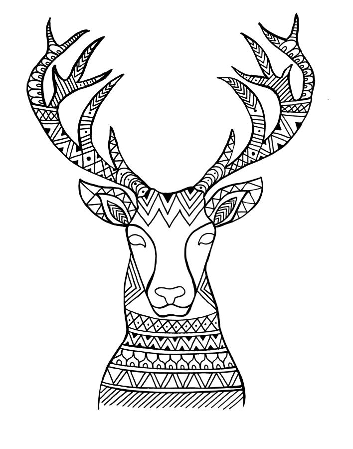 Black And White Drawing - Animal Head Deer by MGL Meiklejohn Graphics Licensing