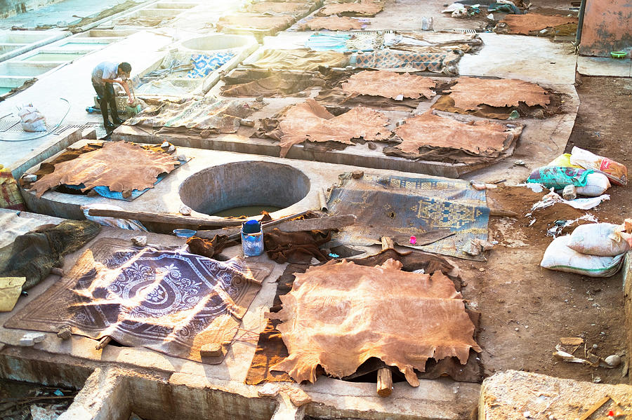 animal-hides-drying-at-the-leather-photograph-by-dan-shugar