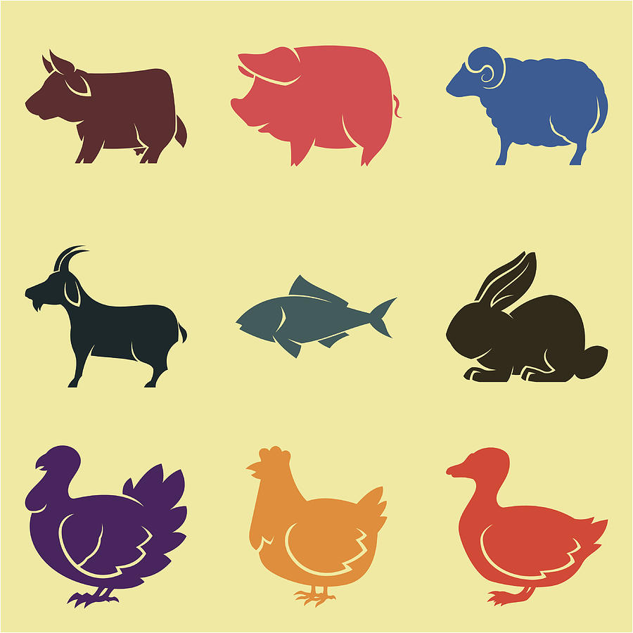 Animal husbandry icons in different colors Drawing by DimaChe