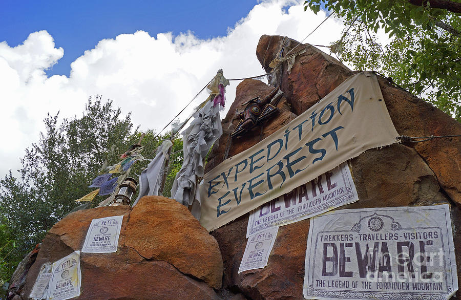 Animal Kingdom - Expedition Everest Photograph by AK Photography