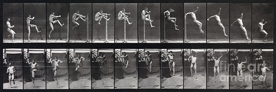 Eadweard Muybridge Photograph - Animal Locomotion of Man Jumping Hurdle by MMA Philadelphia Commercial Museum