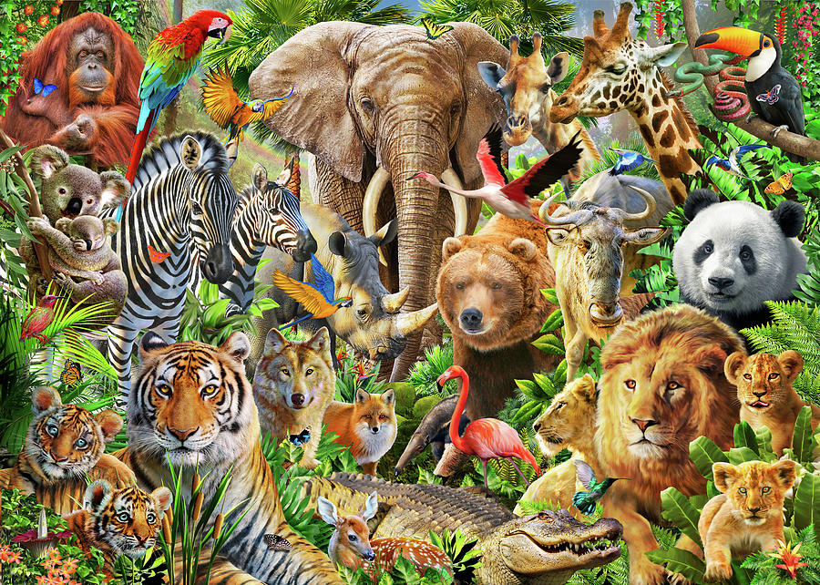 Wild animals in forest scene with many trees - Stock Illustration  [78923112] - PIXTA